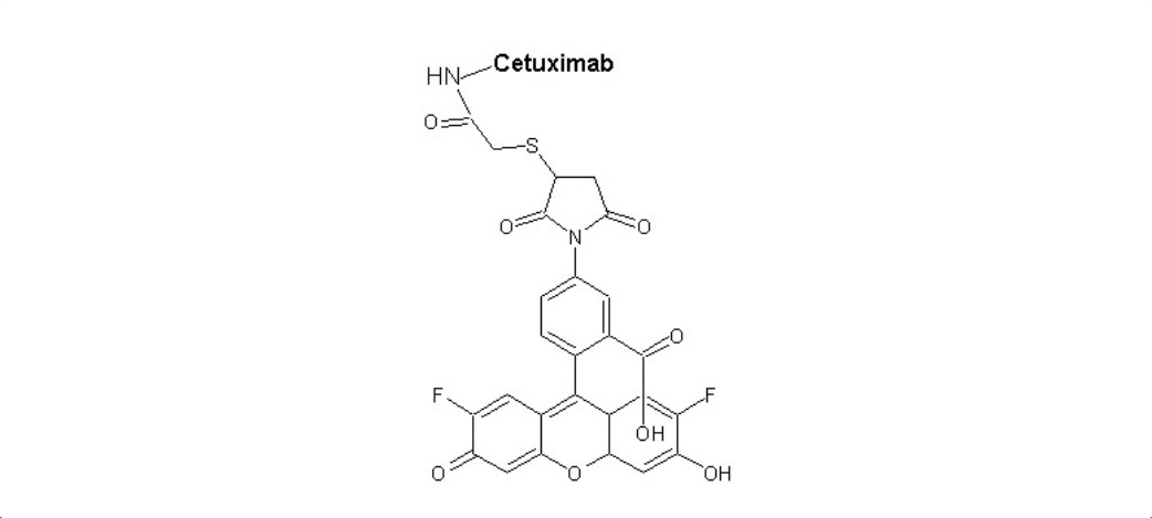 Cetuximab